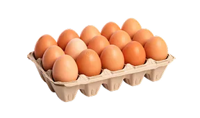 亿万28热门游戏资讯 - 亿万28chengsheng